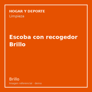 Escoba con recogedor Brillo